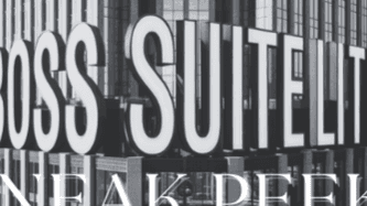 Boss Suite Lite -Sneak Peak FREE