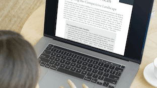 Get My Competitive Audit PDF Now!