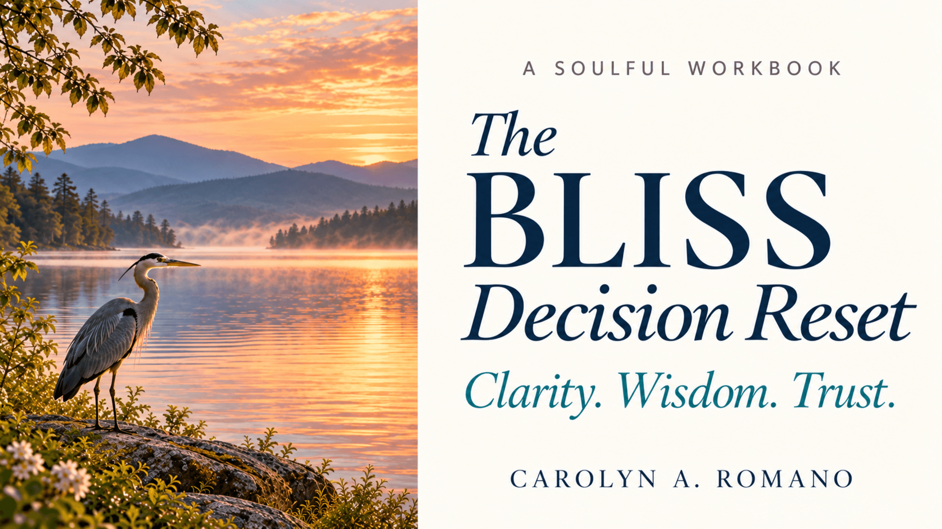 The BLISS Decision Reset Workbook