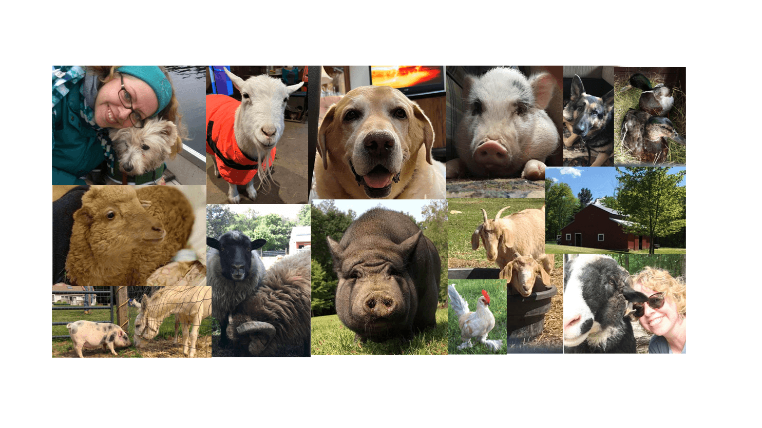 Support Charlie's Place Healing Sanctuary