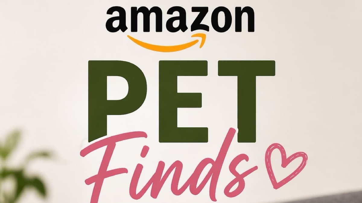🐾 Amazon Pet Finds Vault