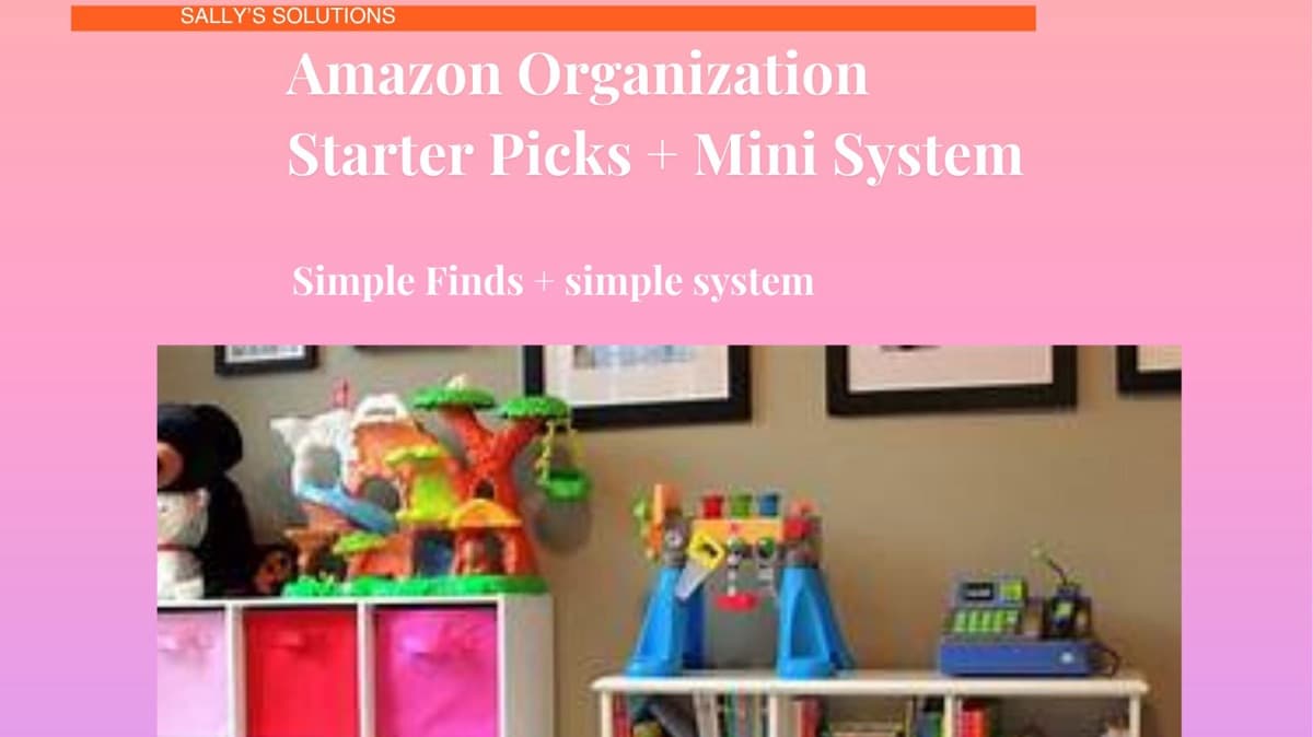 Amazon Organization Starter Picks + System