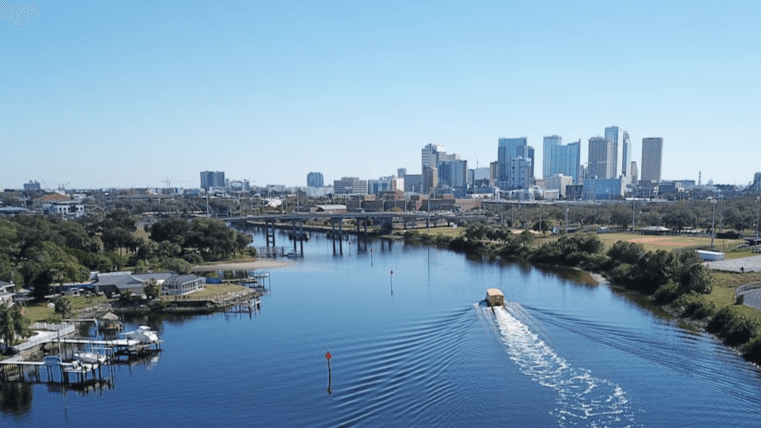 South Tampa Snapshot
