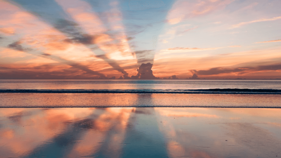 CALM FIRST: Nervous system regulation guide