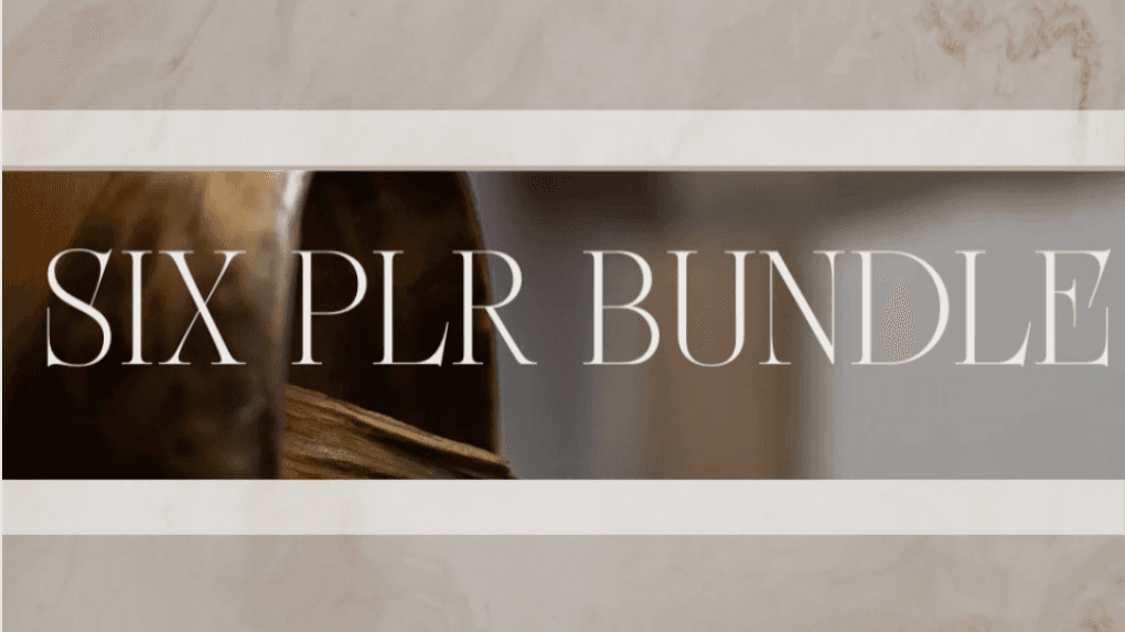 Six PLR Bundle!!
