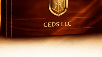 The Strategic Arrow™ Executive Guide