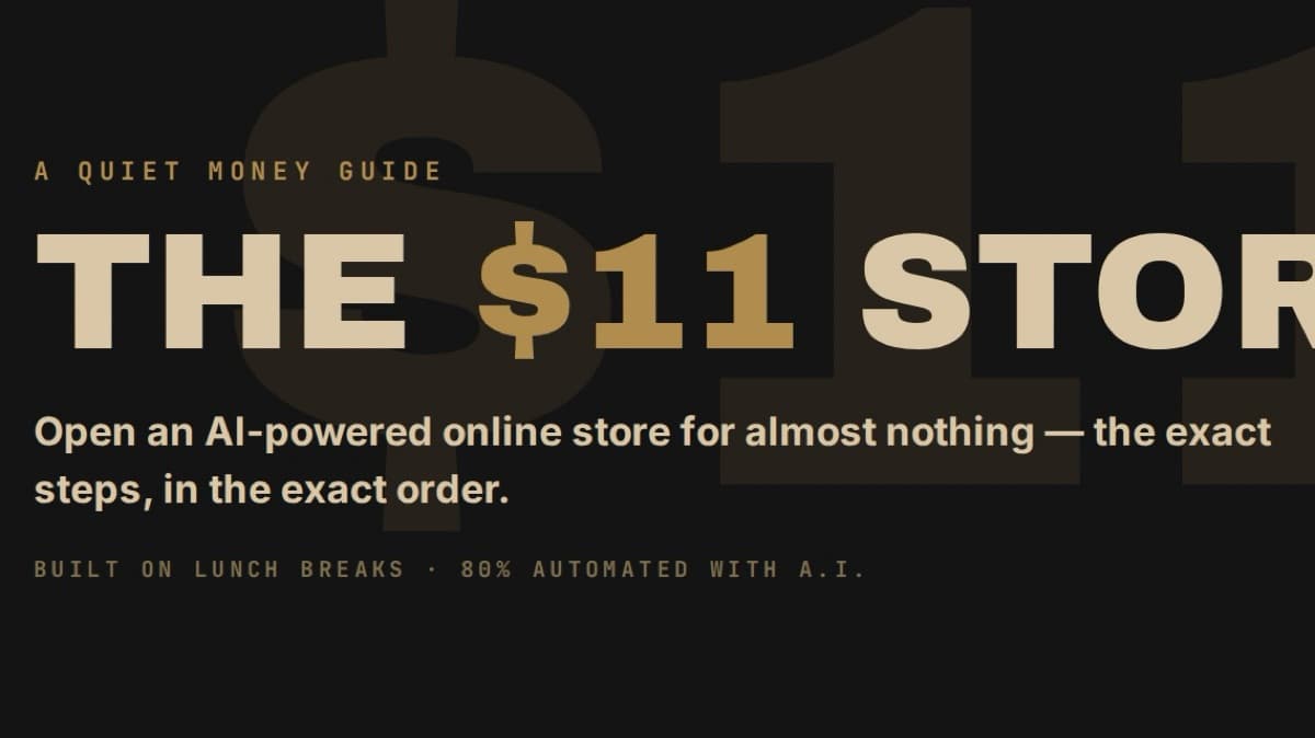 The $11 Store | 8 Winning Products I’d start