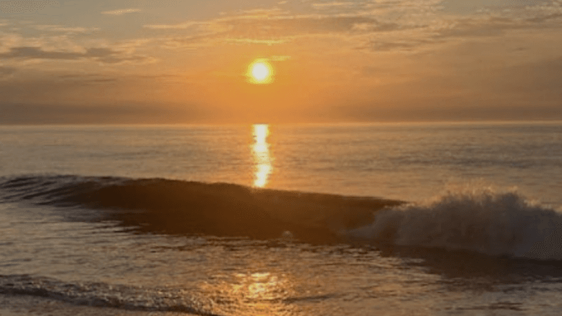 Healing After Narcissistic Abuse