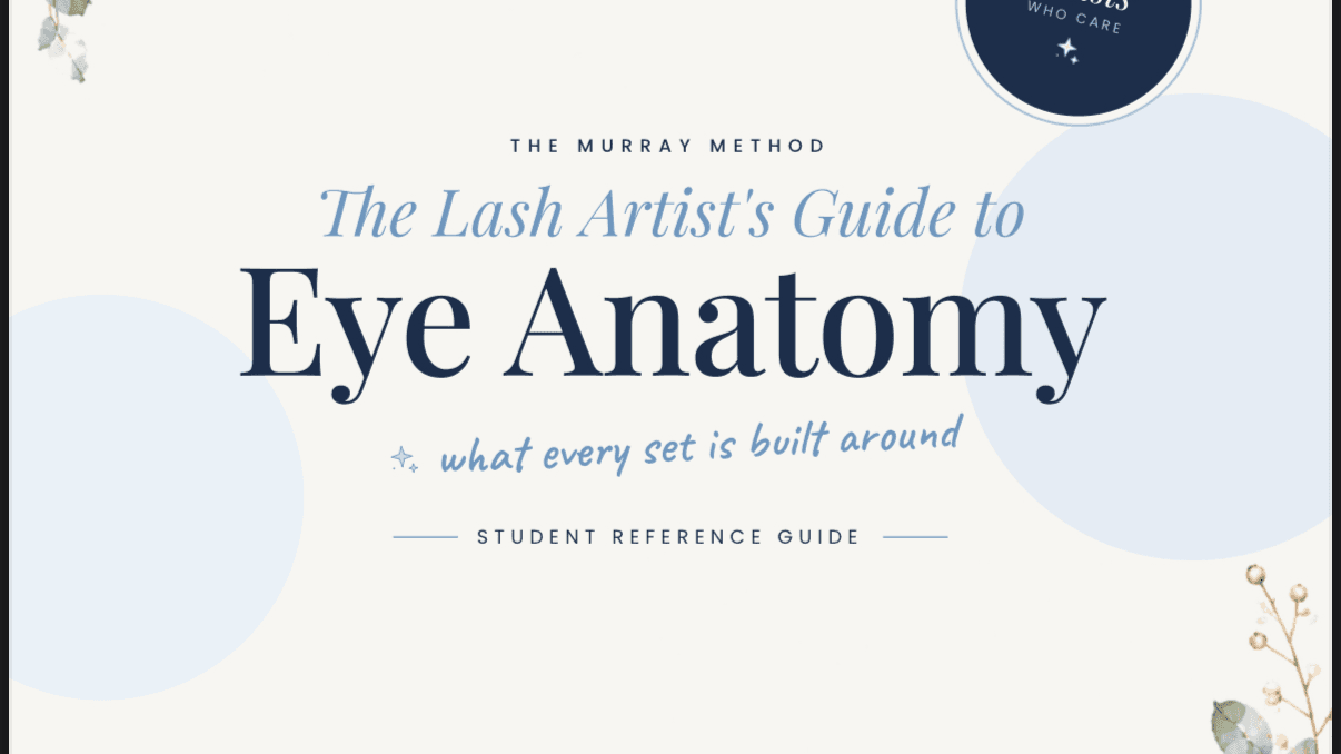 Eye Anatomy For Lash Artists