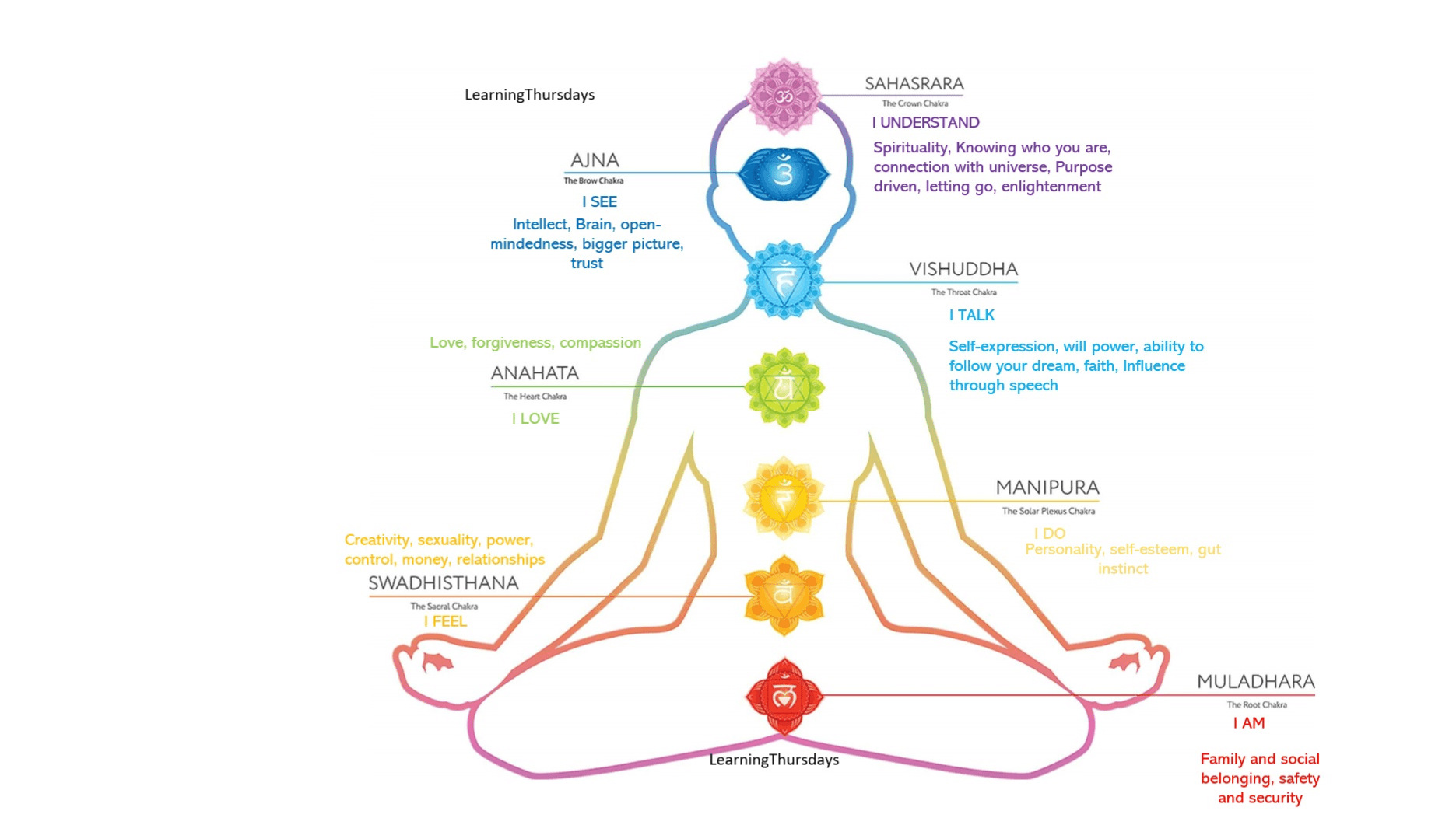 Intro to the Chakras