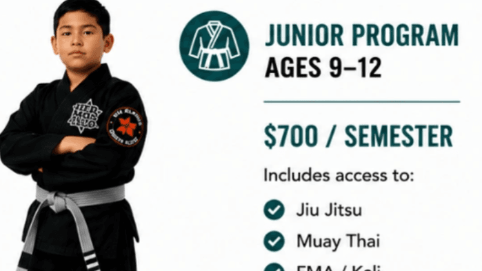 VIBE Martial Arts Junior Program (Ages 9–12)