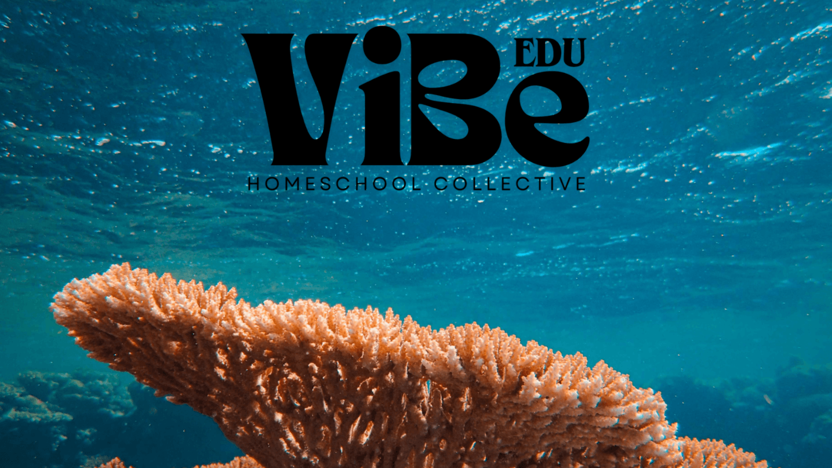The Reef | 1 Day Per Week