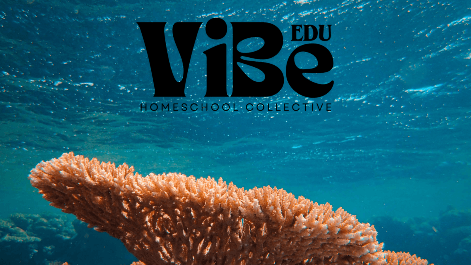 The Reef | 2 Days Per Week
