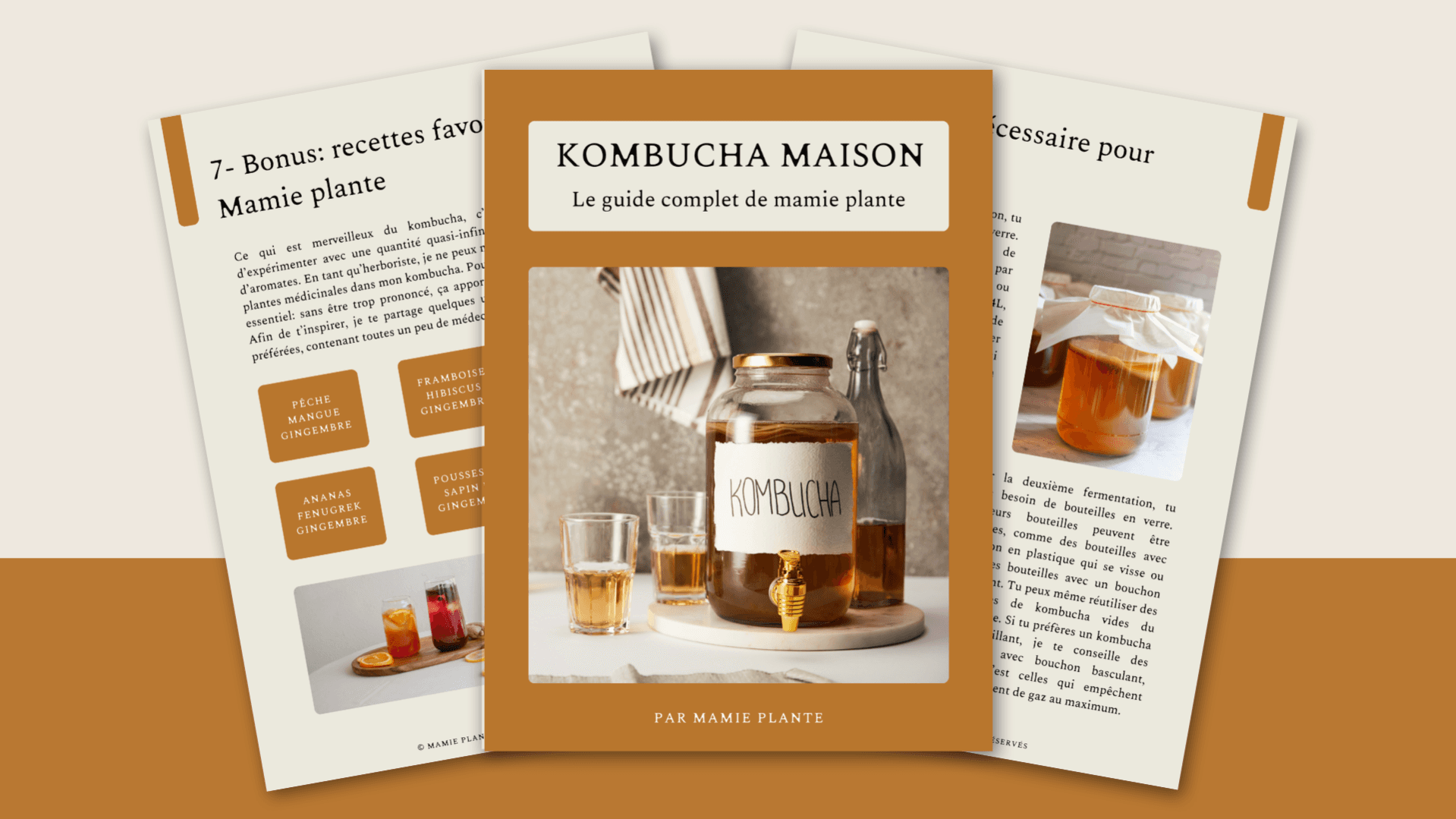 Kombucha maison: télécharge mon guide complet!
