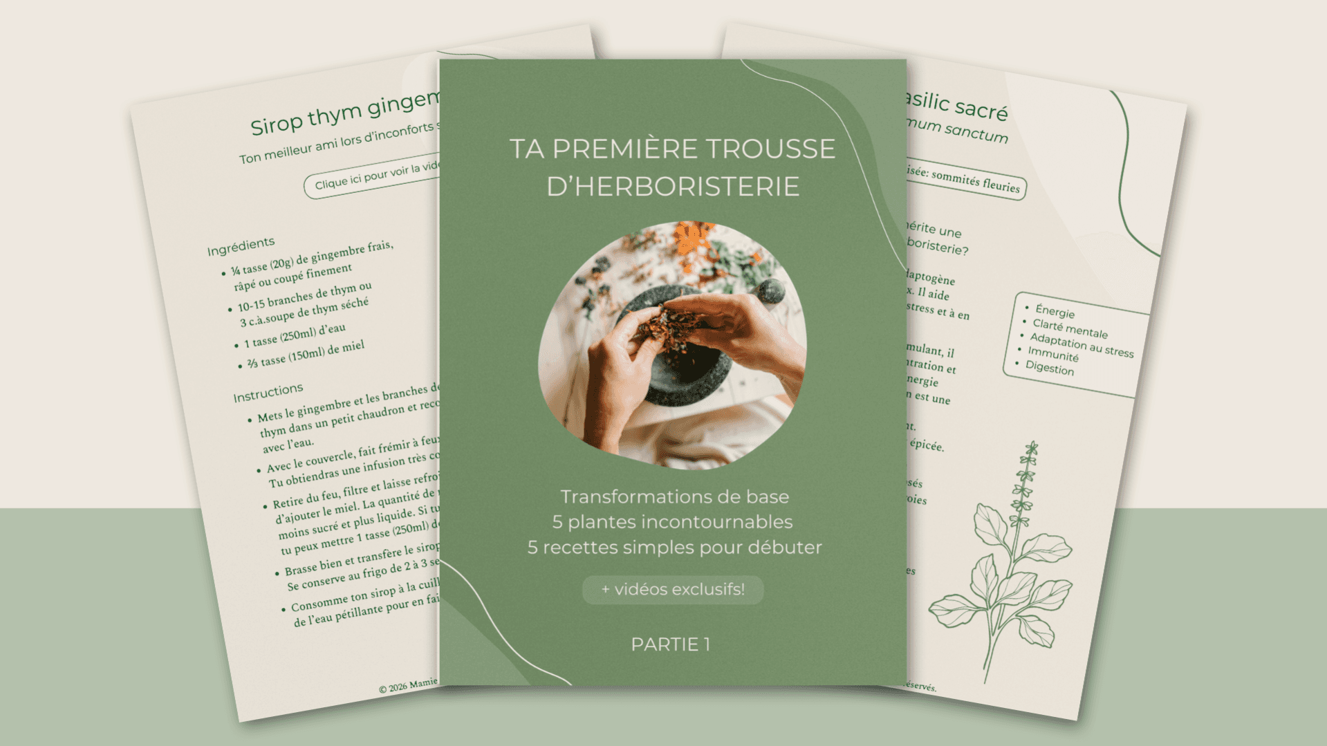 Ta première trousse d'herboristerie 🌿