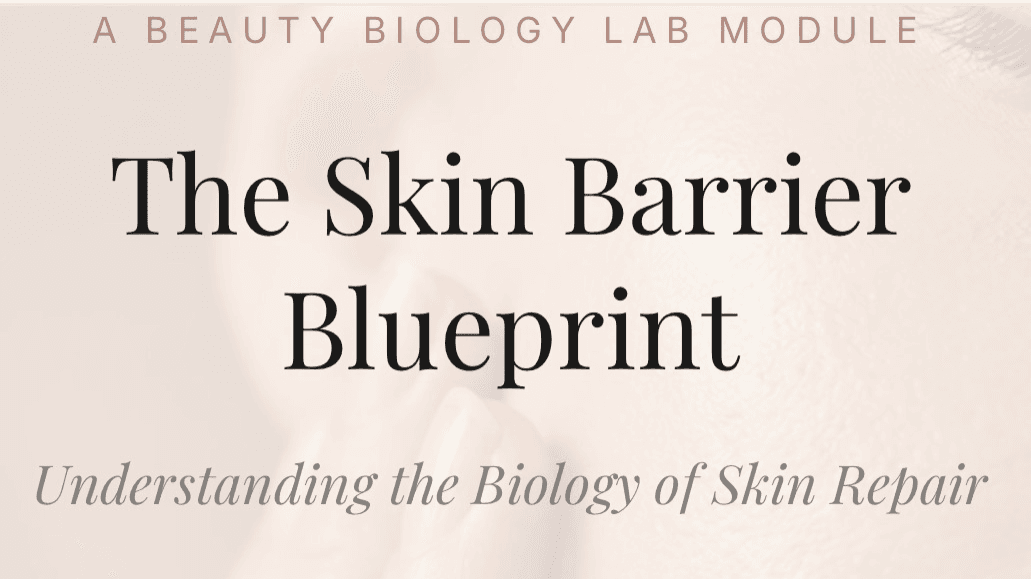 The Skin Barrier Blueprint