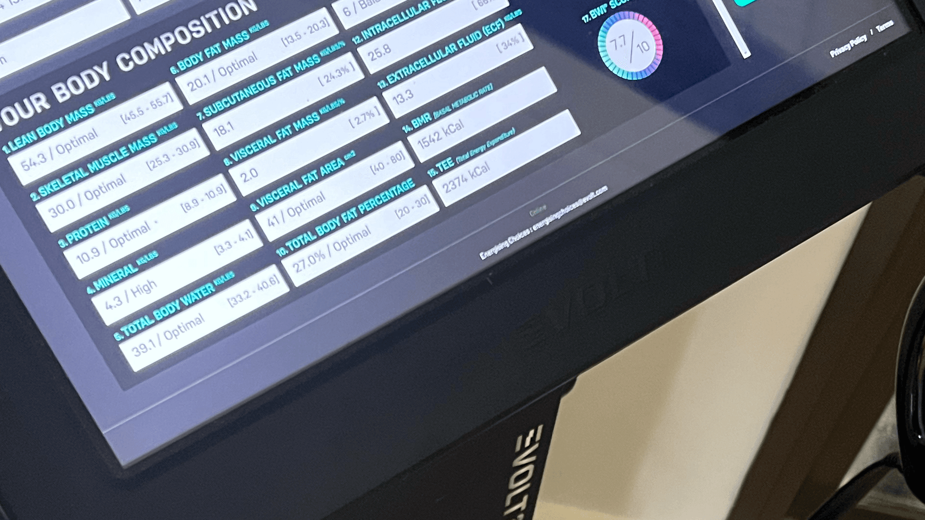Body Composition Scan
