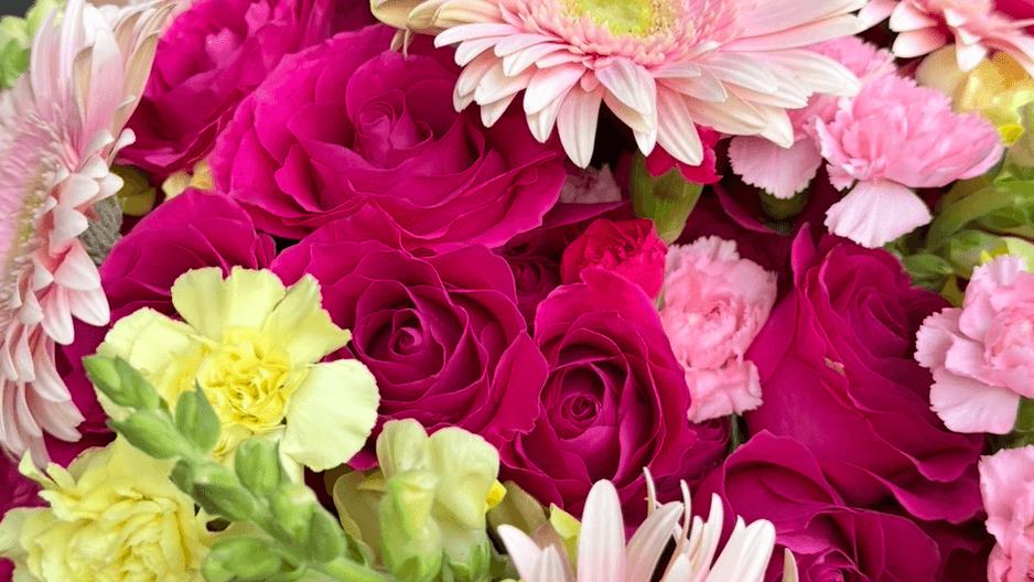 Sweet Daisy Garden