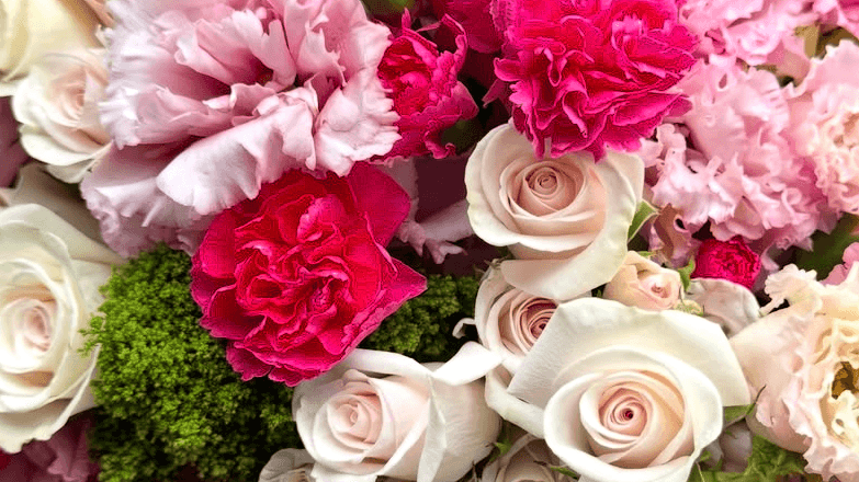 Blushing Garden