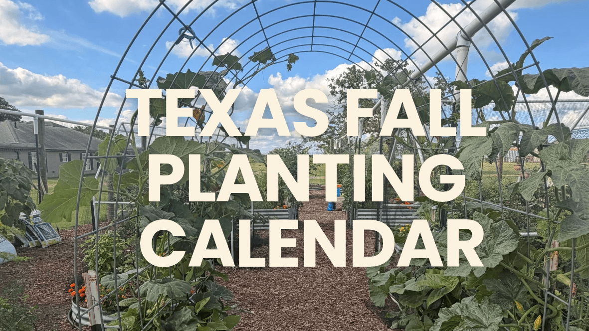 FREE- Texas Fall Planting Calendar