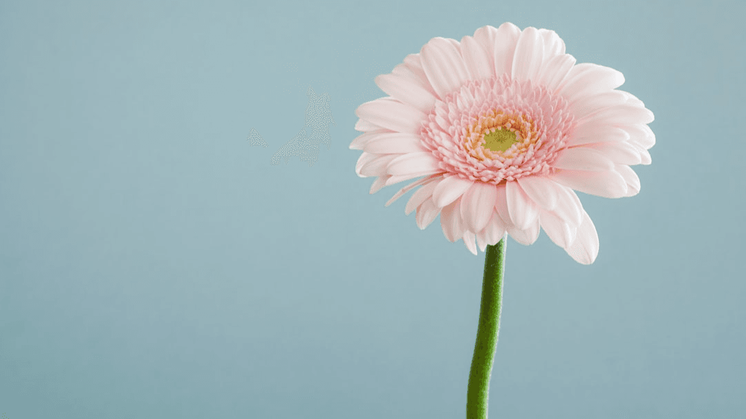 Self-Care Scavenger Hunt