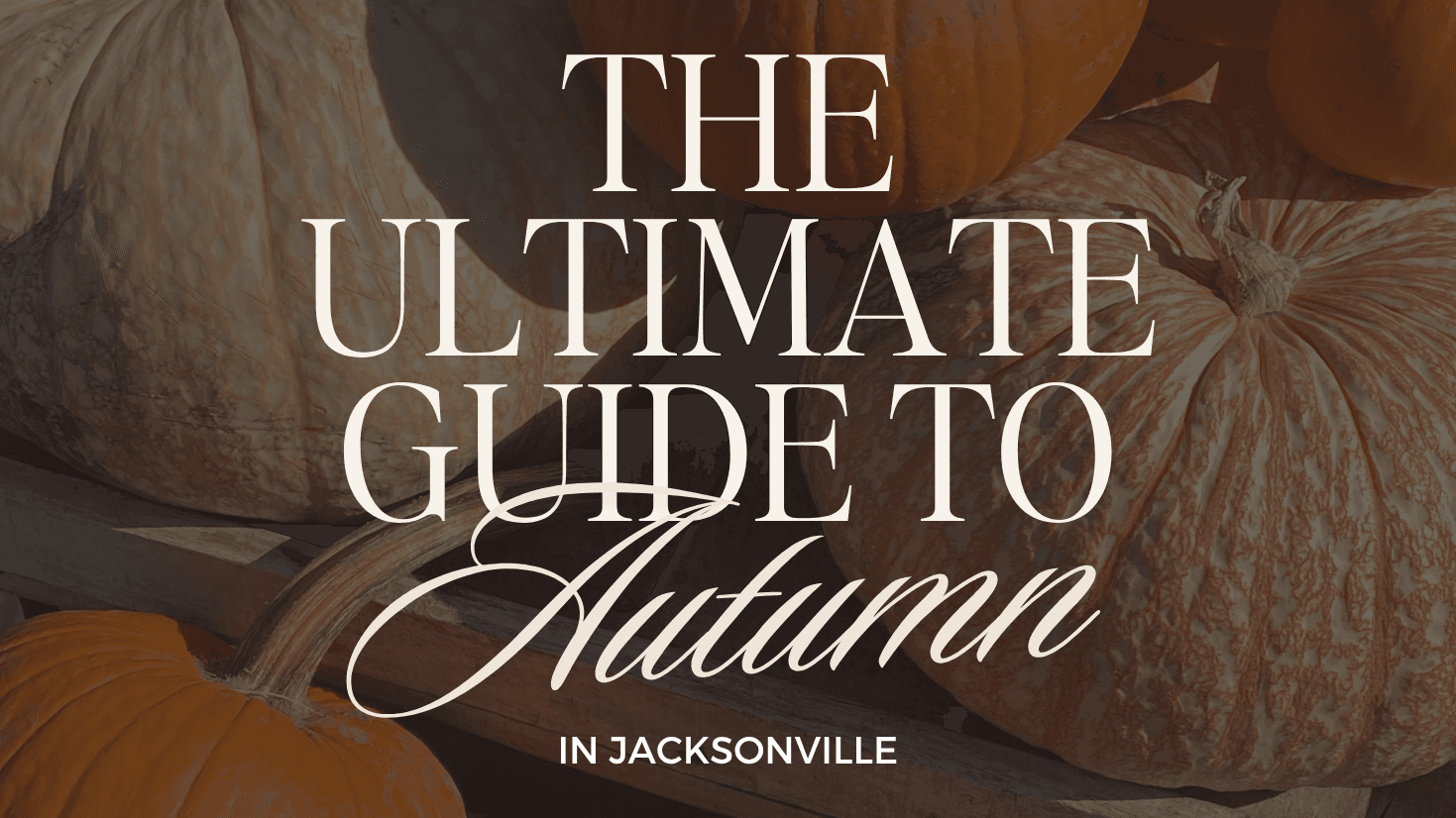 The Ultimate Guide to Fall in the 904