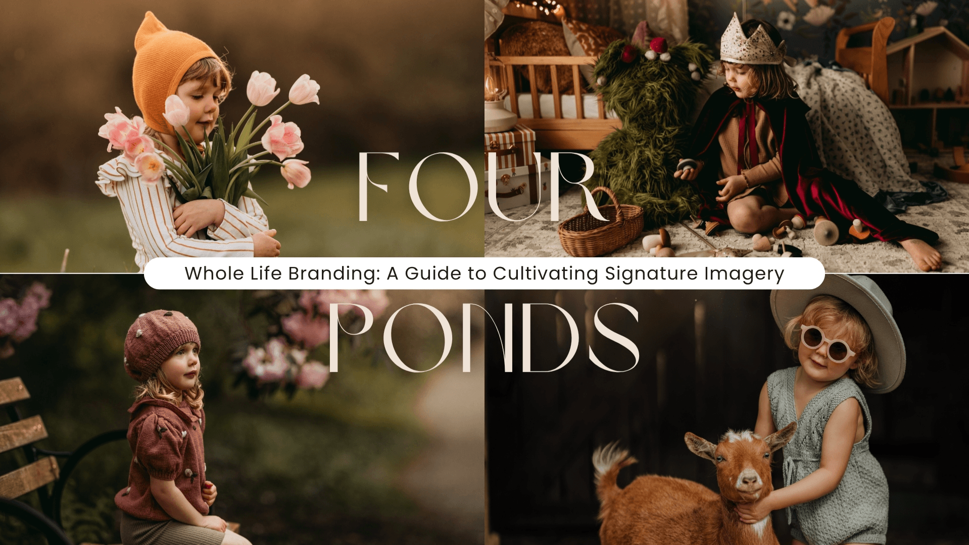Whole Life Branding Style Guide (25-Page PDF)