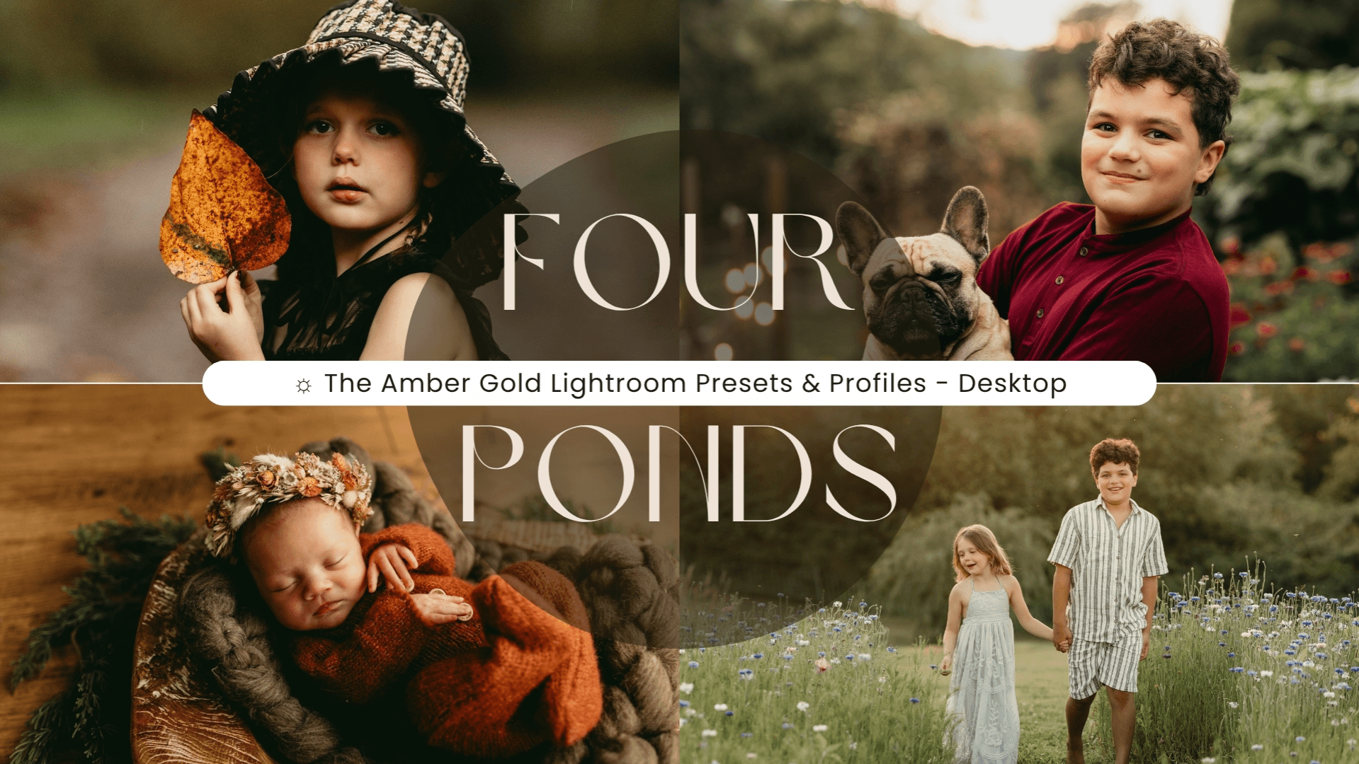 ☼ The Amber Gold LR Presets & Profiles (Desktop)