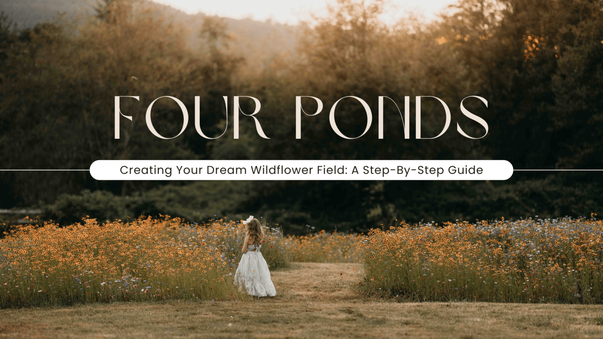 Creating Your Dream Wildflower Field (14-Page PDF)