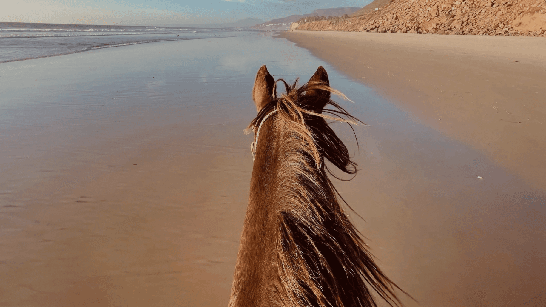 Join Take the Reins