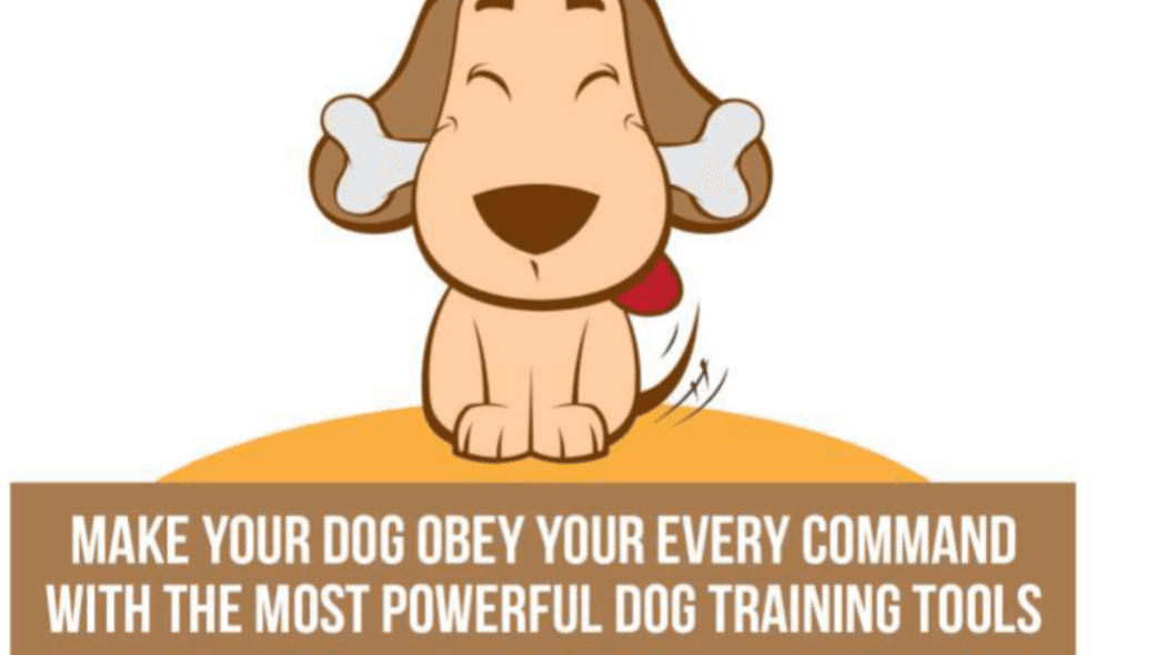 Dog Owners Delight