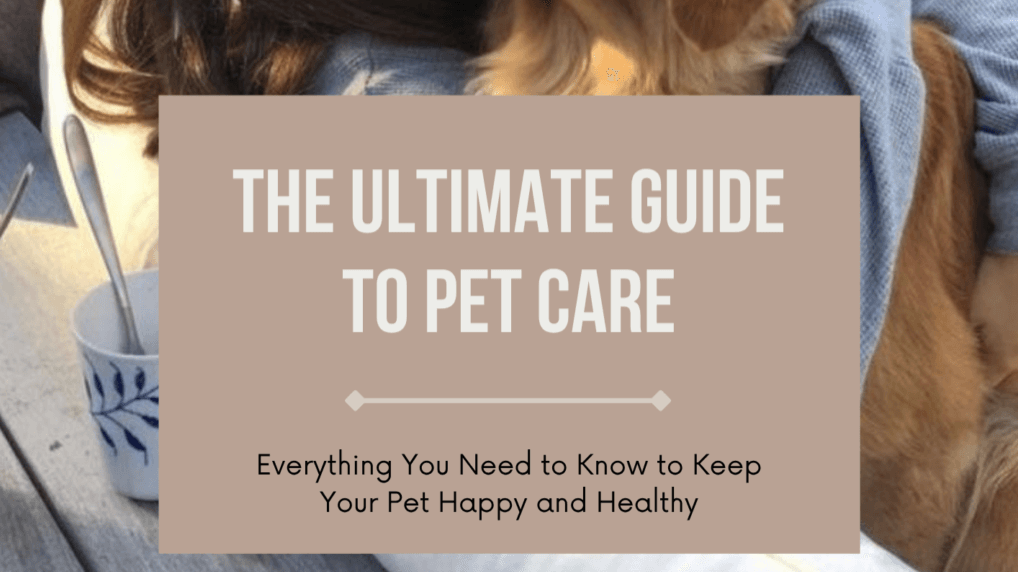 The Ultimate Guide to Pet Care