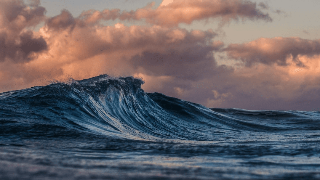 The Quiet Reset