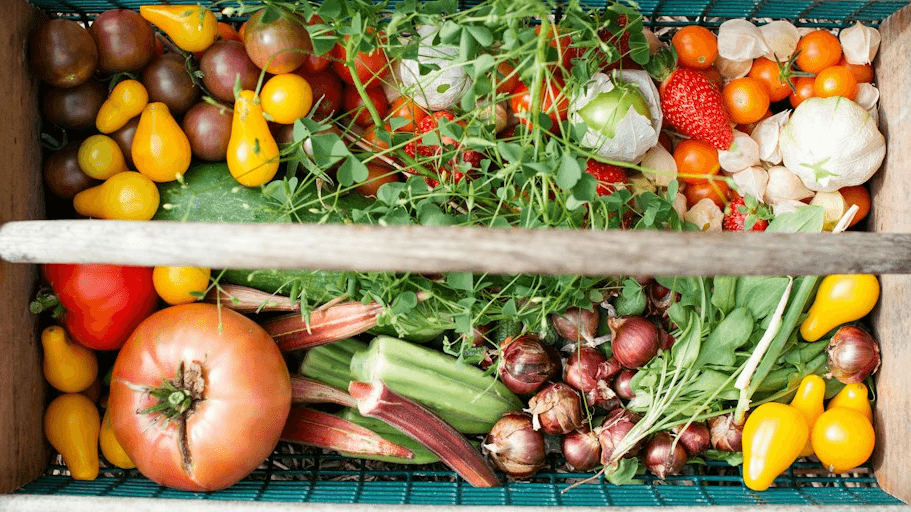 Spring Garden Challenge Waitlist