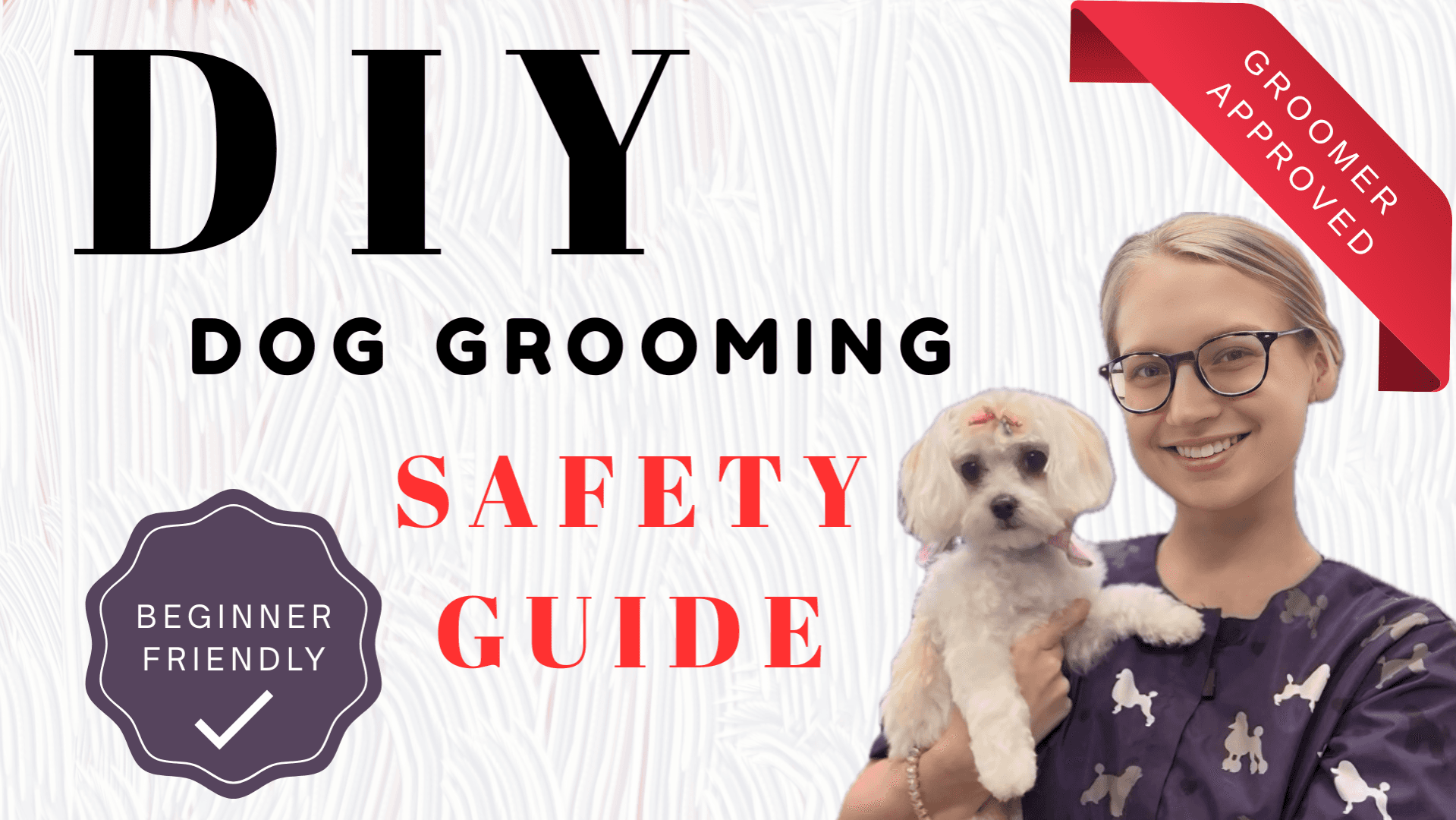 DIY Dog Grooming | Safety Guide
