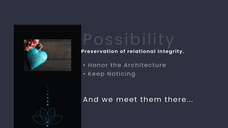 Book Your Consultation