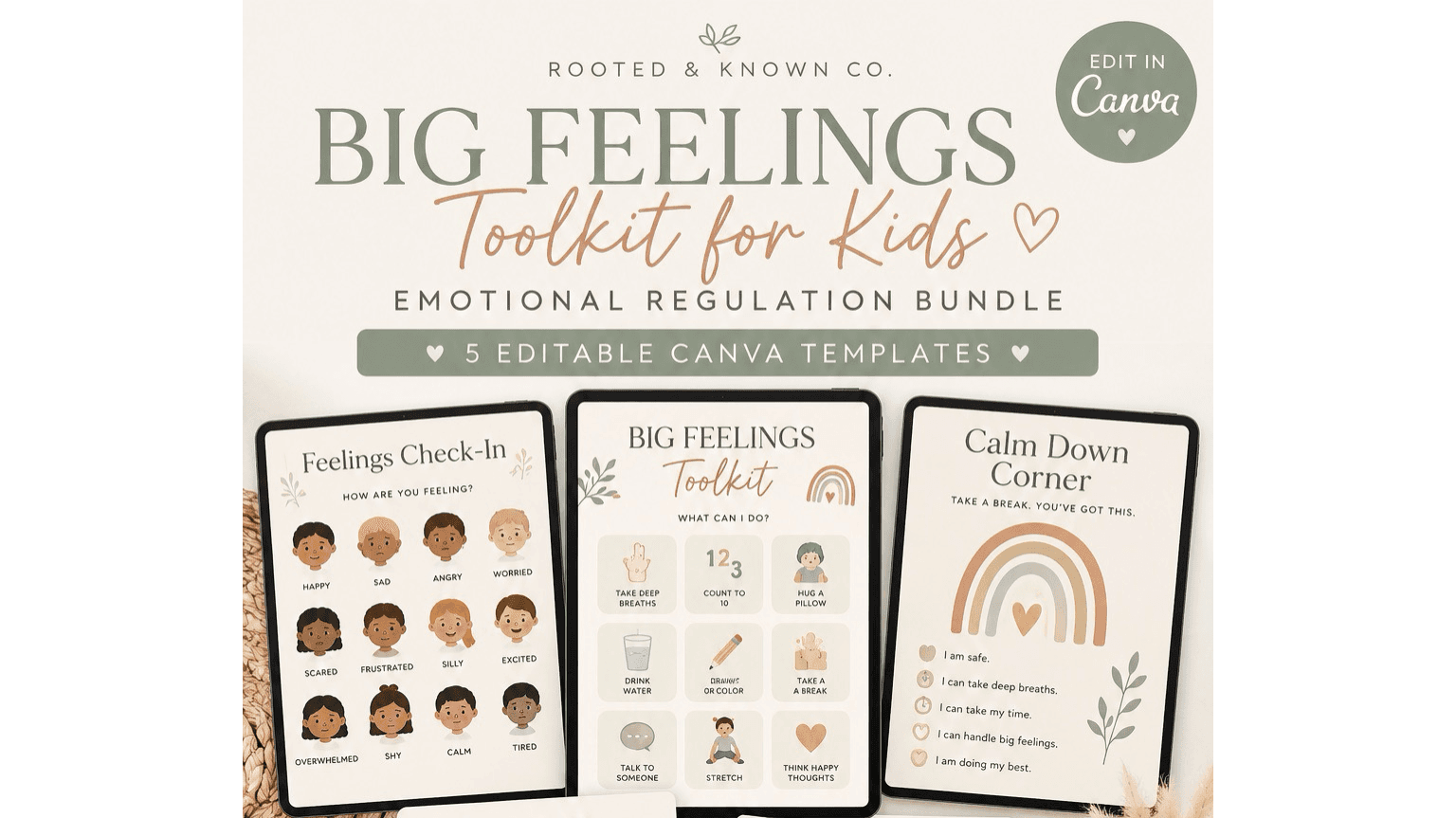 Big Feelings Toolkit Bundle