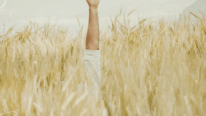 FREE Calm Down Toolkit for Overwhelmed Parents