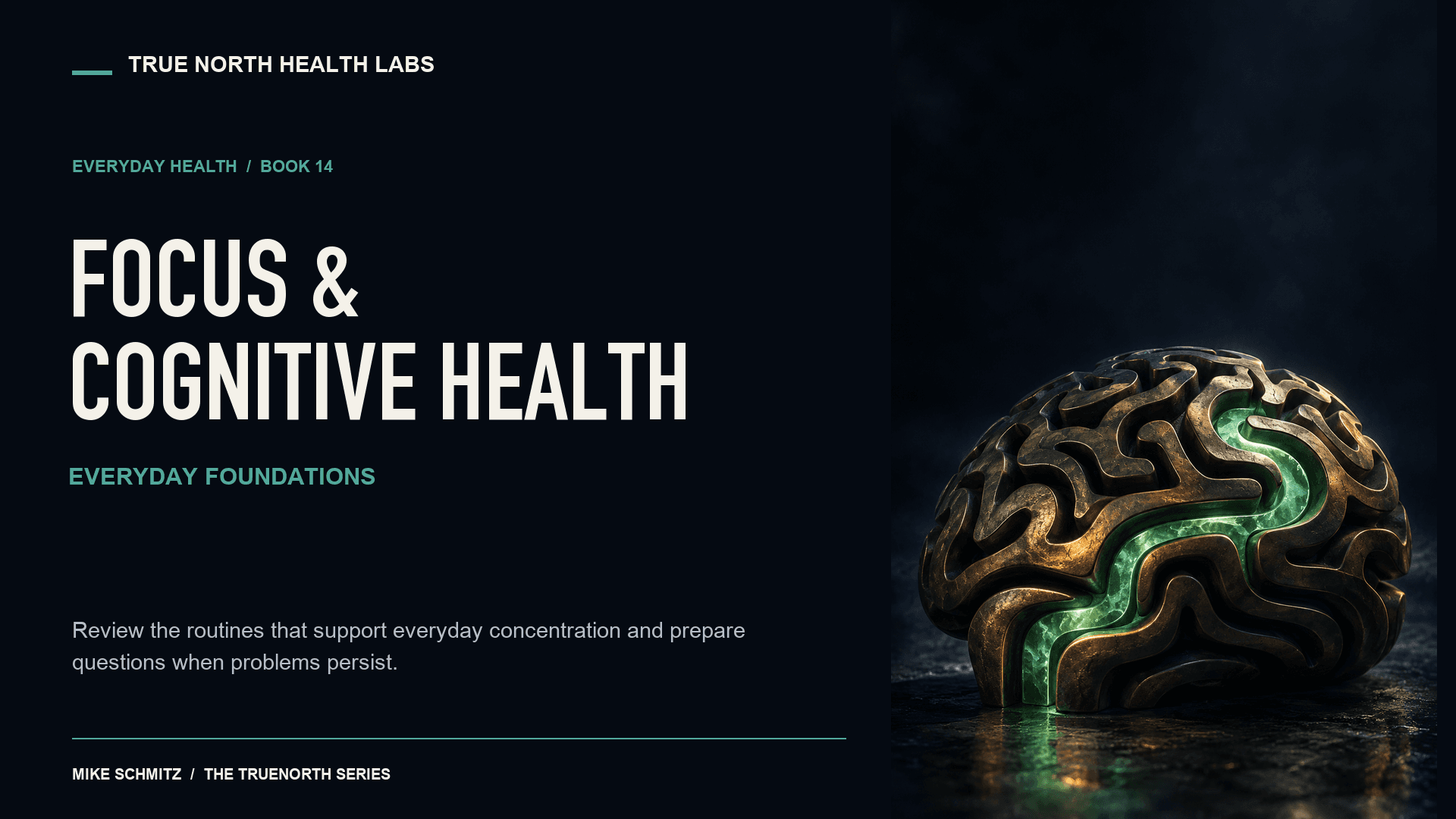 Focus & Cognitive Health: Everyday Foundations