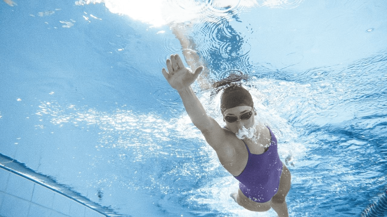 Freestyle Transformation Program