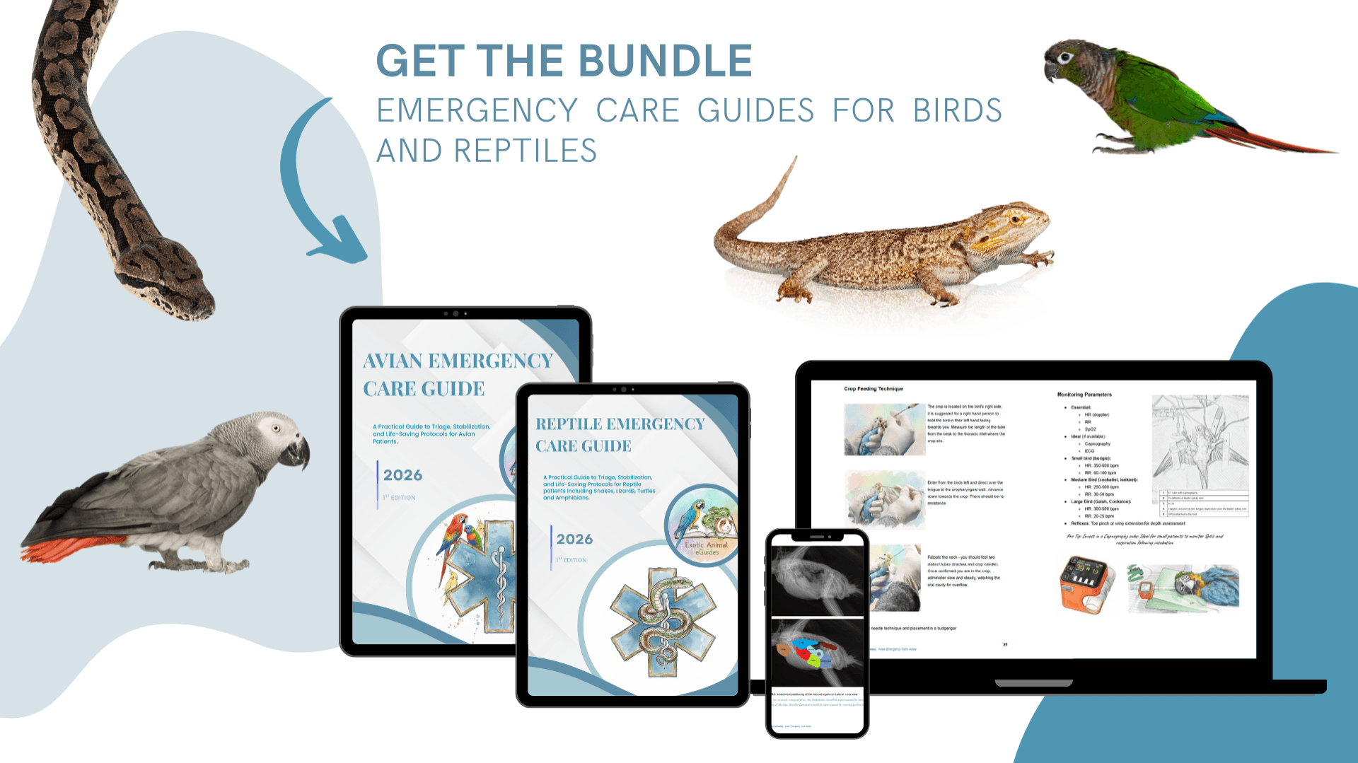 The Avian and Reptile Emergency Care Bundle