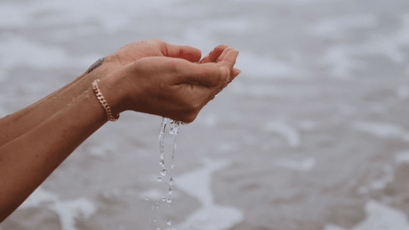 Your Nervous System Needs You Masterclass