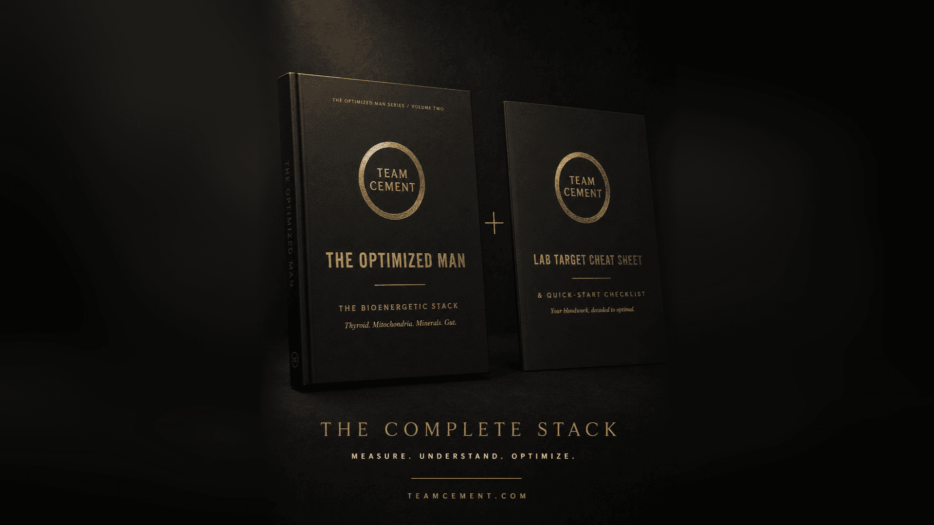 The Optimized Man: The Bioenergetic Stack