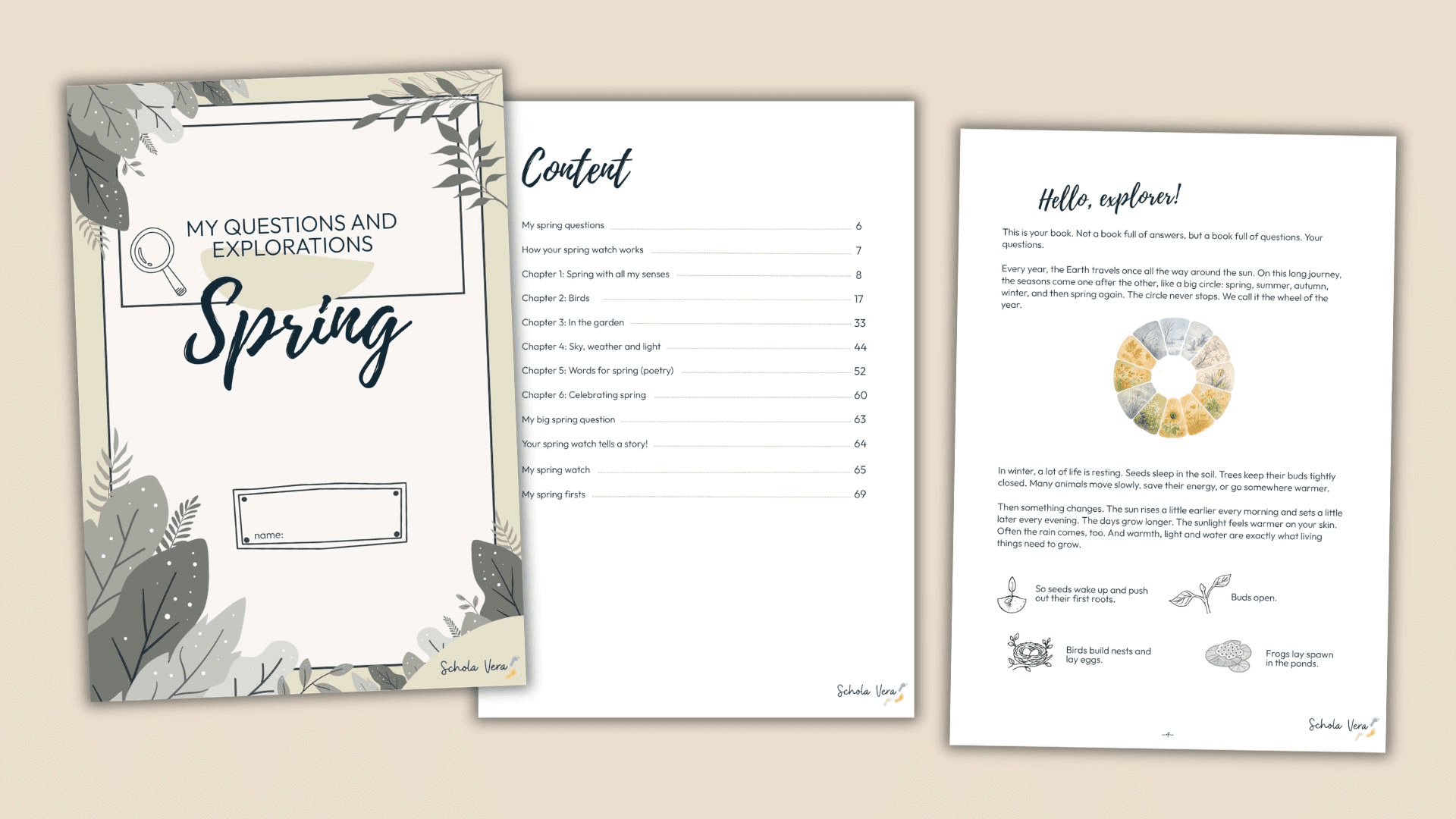 My Questions and Explorations – Spring