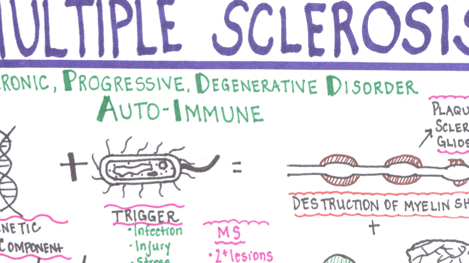 Ultimate Med/Surg Study Guide