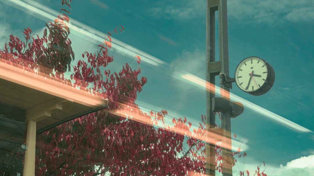 3-Day Circadian Reset Guide