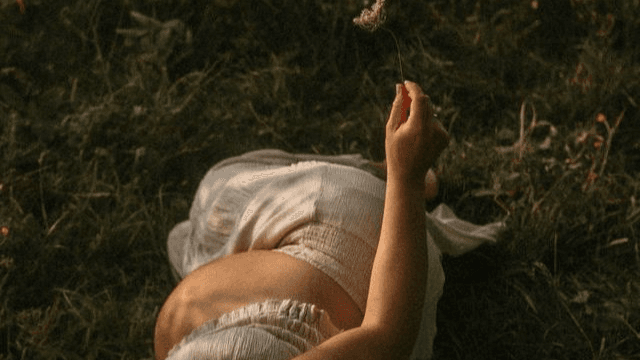 Fertile Ground Identity Shifting Hypnosis