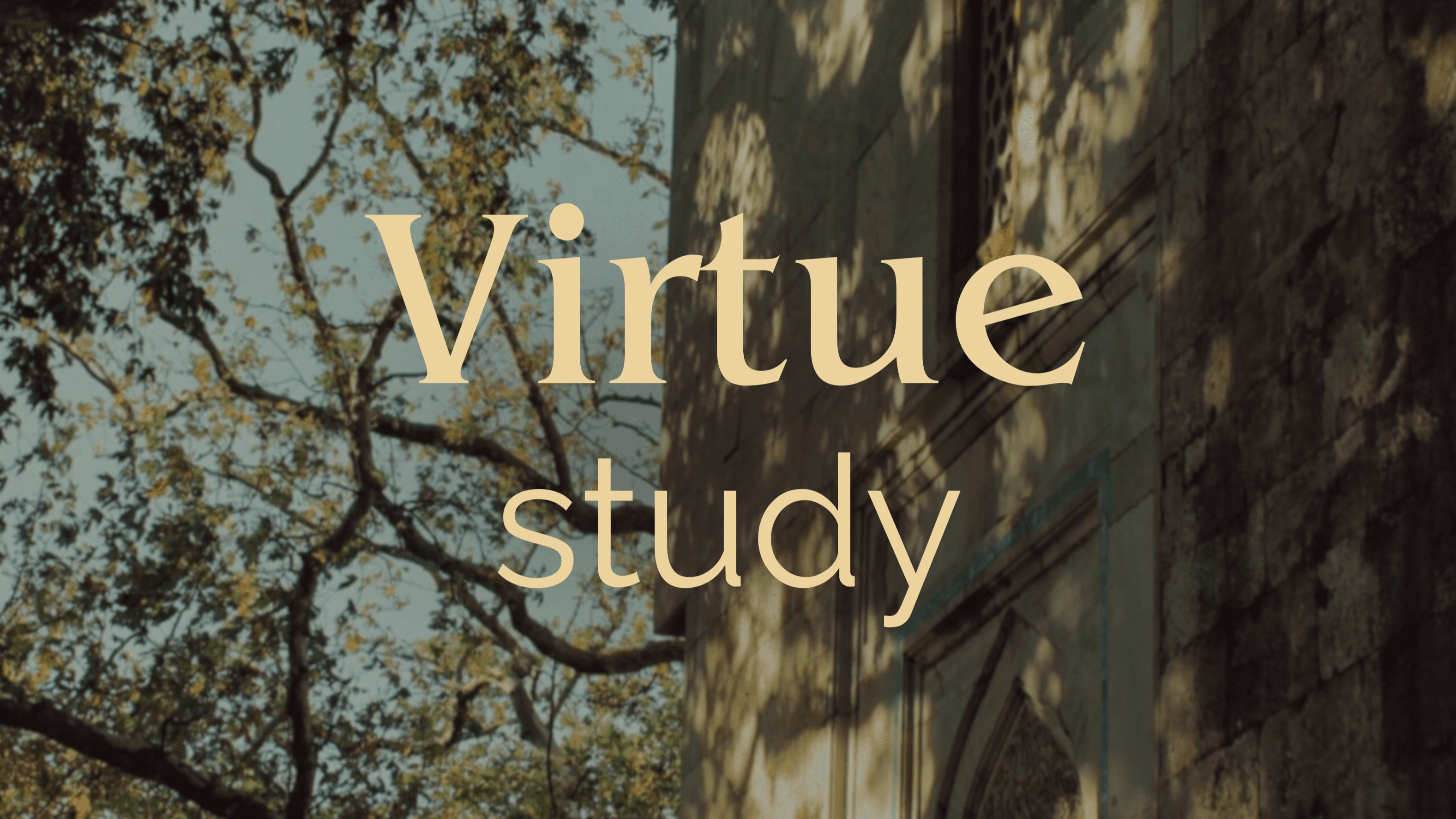 Virtue Study