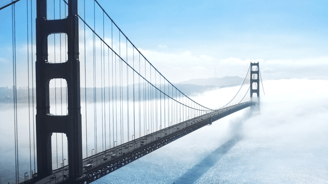 🌉 The Bridge Membership™ Plus