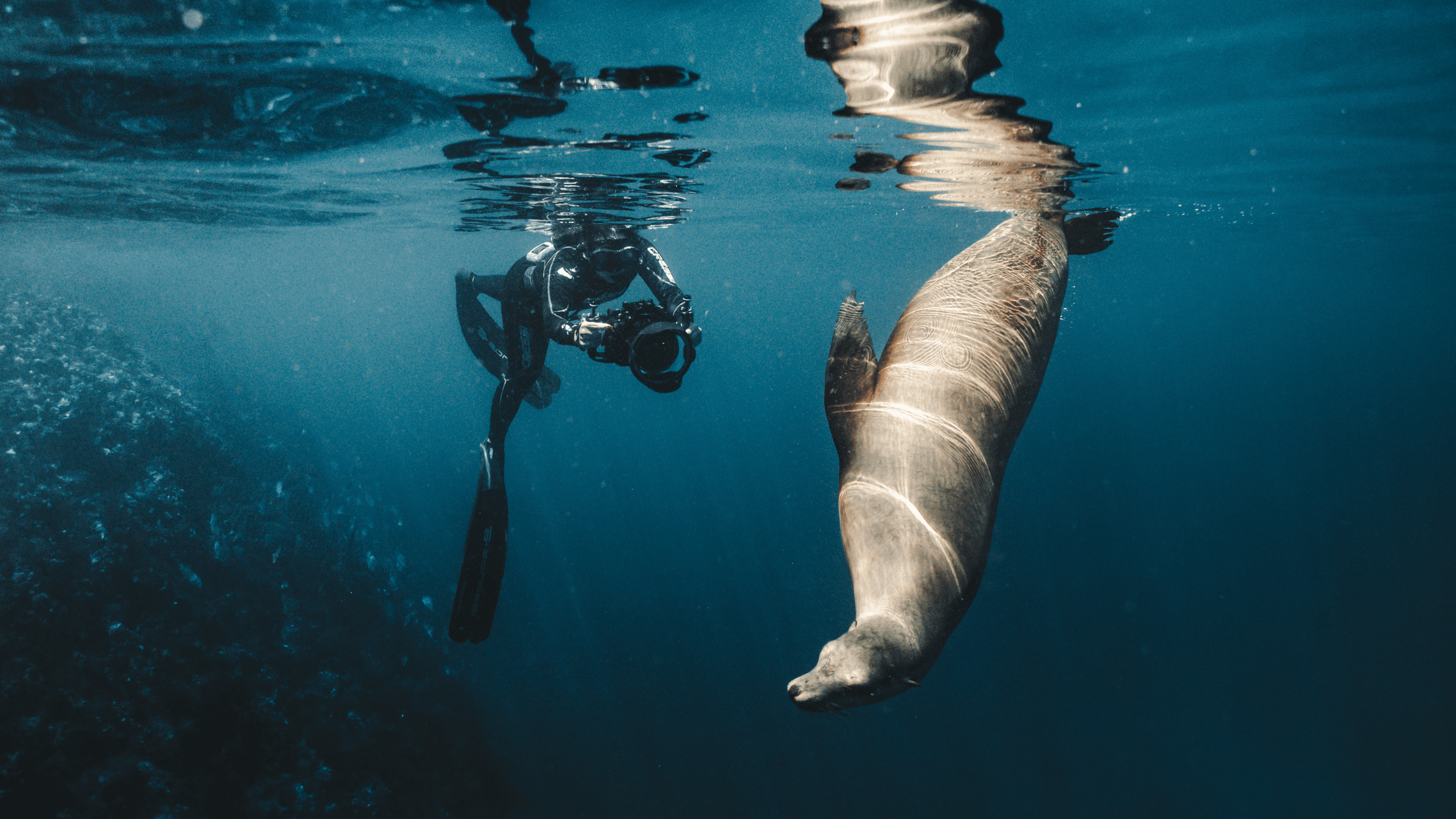 Underwater Presets Collection